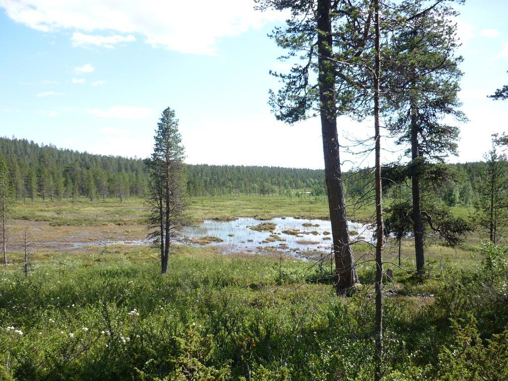 Lemmenjoen Lumo - Nature Experience & Accommodation Lemmenjoki Exteriér fotografie